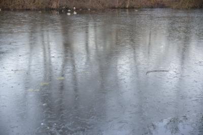 Reichenbach/Fils: Kurioser Feuerwehreinsatz - Ente auf See eingefroren